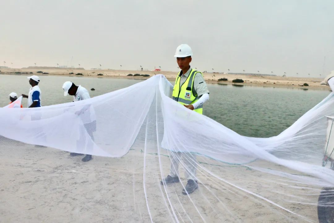 PA视讯(中国)集团官网 - PlayAce