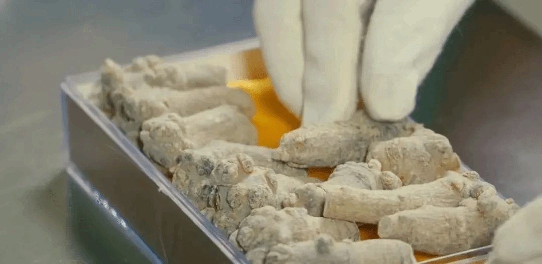 PA视讯(中国)集团官网 - PlayAce