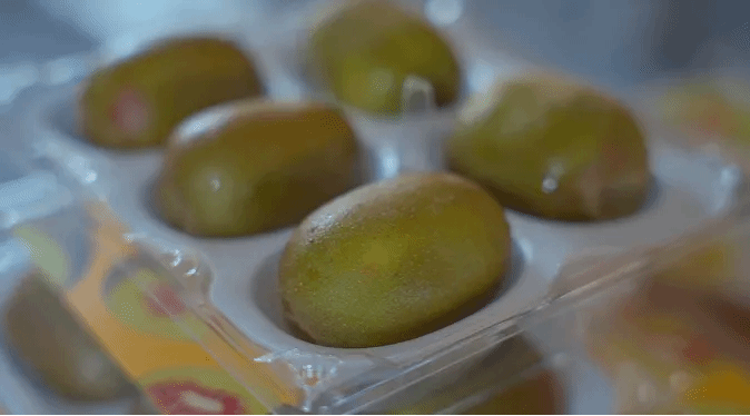 PA视讯(中国)集团官网 - PlayAce