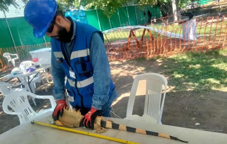 PA视讯(中国)集团官网 - PlayAce