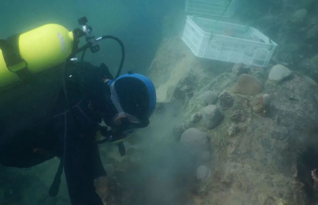 PA视讯(中国)集团官网 - PlayAce