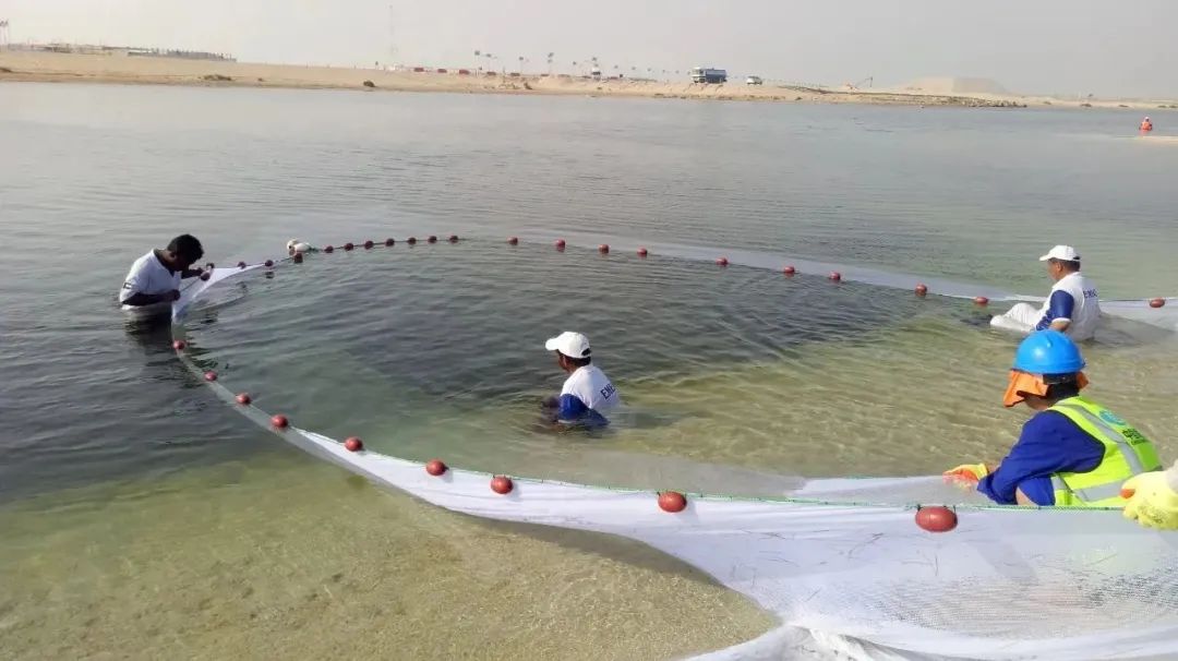 PA视讯(中国)集团官网 - PlayAce