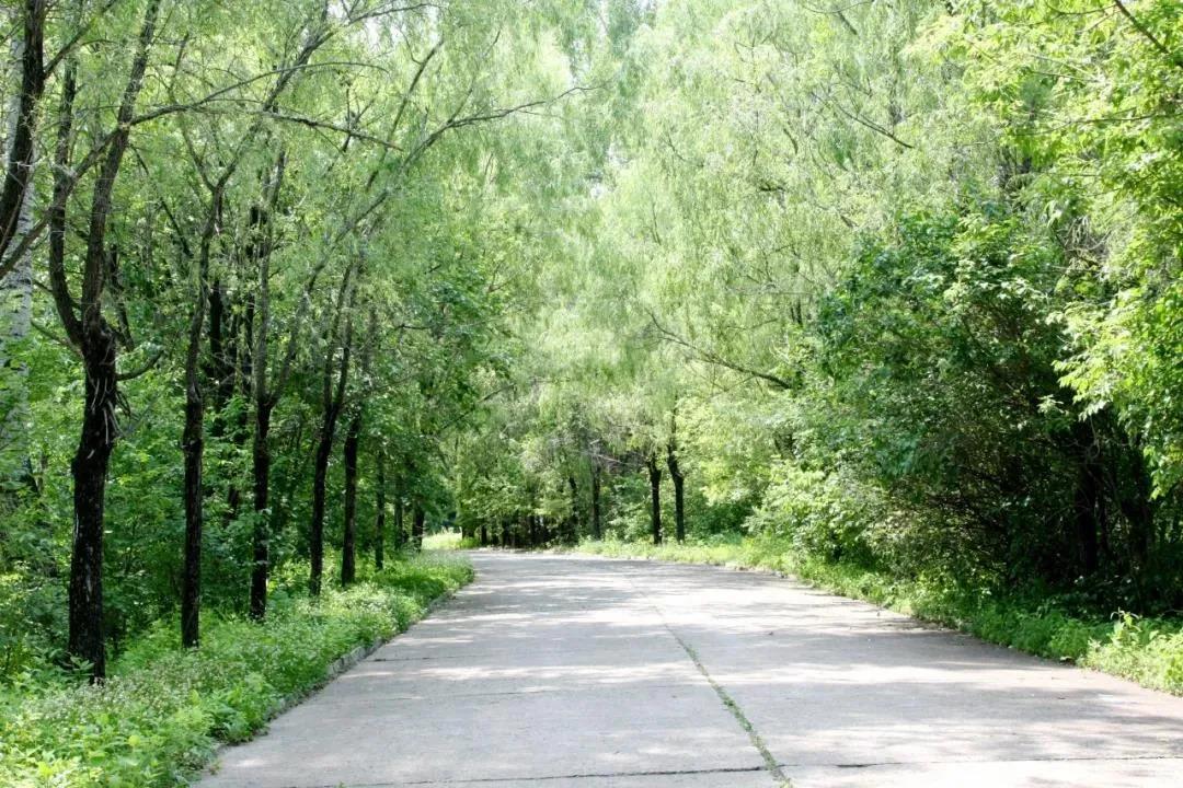 PA视讯(中国)集团官网 - PlayAce