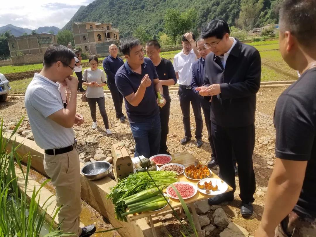 PA视讯(中国)集团官网 - PlayAce