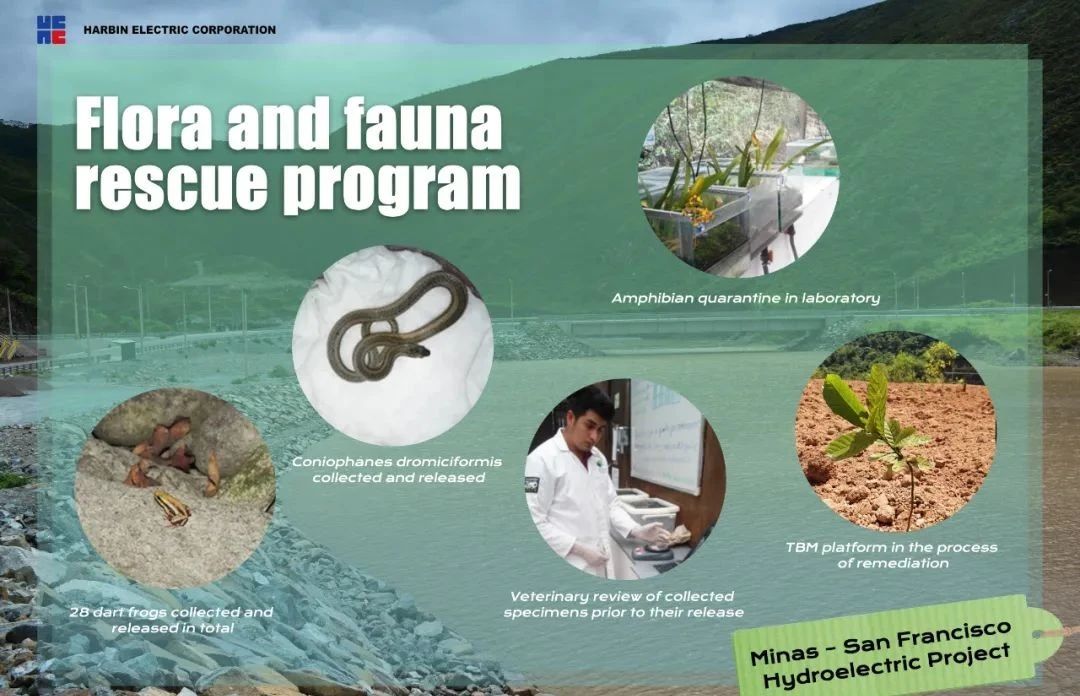 PA视讯(中国)集团官网 - PlayAce