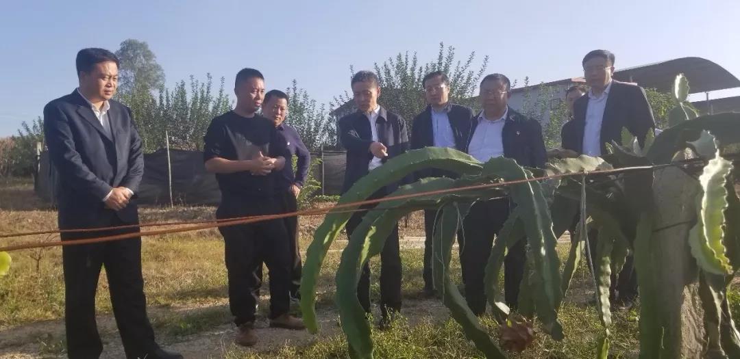 PA视讯(中国)集团官网 - PlayAce