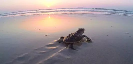 PA视讯(中国)集团官网 - PlayAce