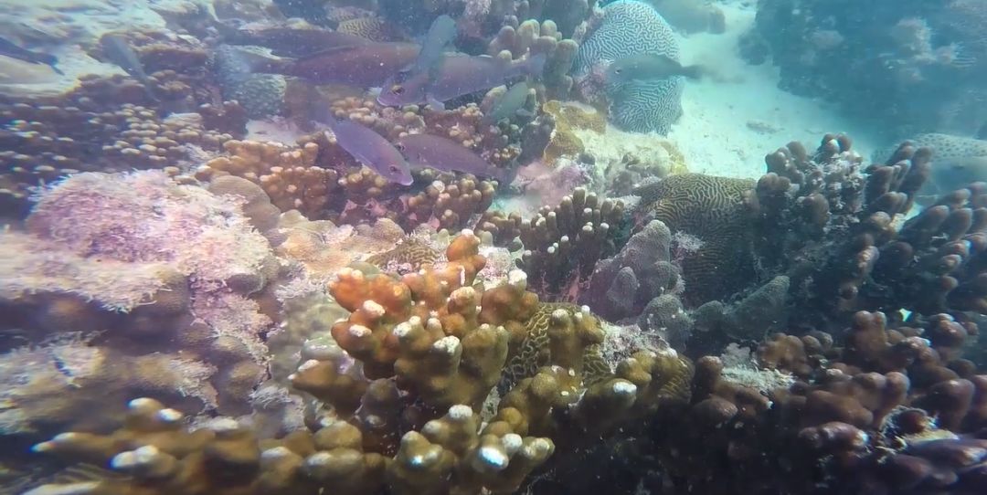 PA视讯(中国)集团官网 - PlayAce