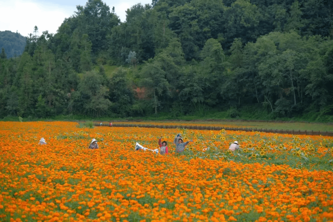 PA视讯(中国)集团官网 - PlayAce